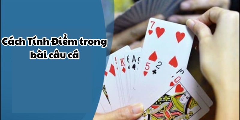 Khám phá cách chơi bài câu cá để giành chiến thắng ấn tượng 3 Cách tính điểm trong bài cá