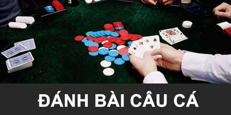 Khám phá cách chơi bài câu cá để giành chiến thắng ấn tượng 4 Một Số Kinh Thánh Chơi Trong Bài Câu Cá